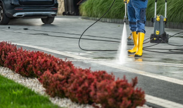 Best Best Pressure Washing Companies  in Shaw Heights, CO