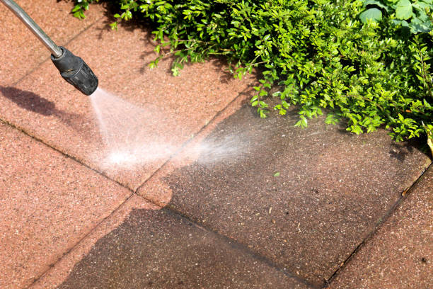 Best Pressure Washing Near Me  in Shaw Heights, CO